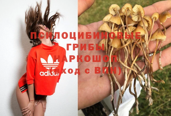 таблы Алексеевка