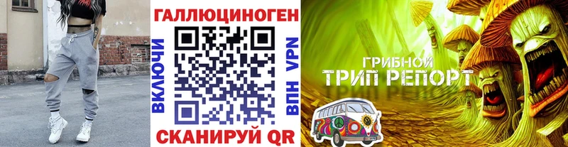 Купить где Болгар Галлюциногенные грибы мухоморы